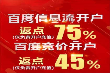 百度广告投放策略与效果评估案例